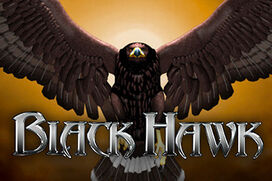 Играть в Black Hawk